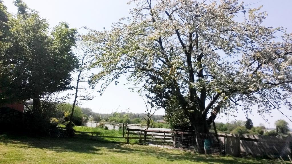 Gite Labradors De Bailly - Giverny Saint-Pierre-la-Garenne Esterno foto